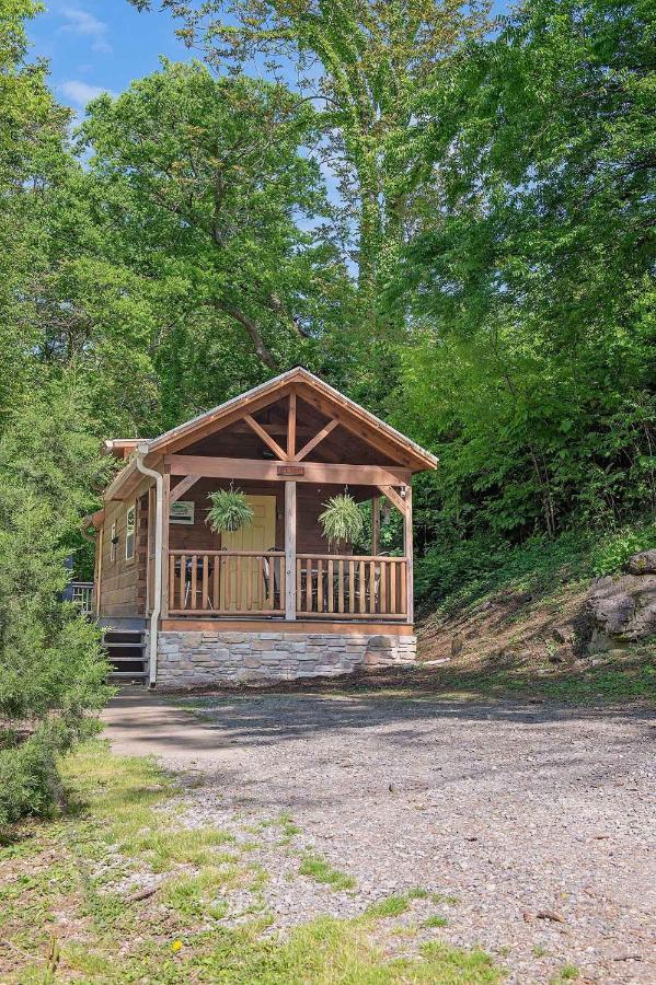 Elise Forest Retreat 5 Mins To Downtown * Chattanooga